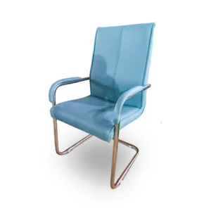 Jiph & Finss Leatherette Visitor Chair (FNS-174 VI)