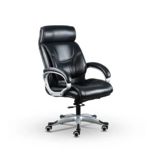Jiph & Finss Leatherette Office High Back Chair (FNS-611-HB)